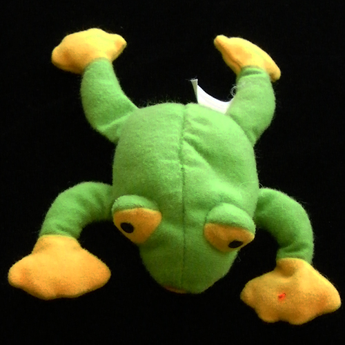2000 Teenie Beanie Babies