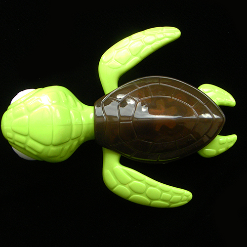 2003 Finding Nemo — View from up above