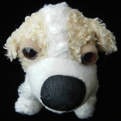 2008 The Dog Artist Collection