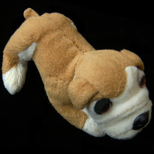 2009 Hotel for Dogs