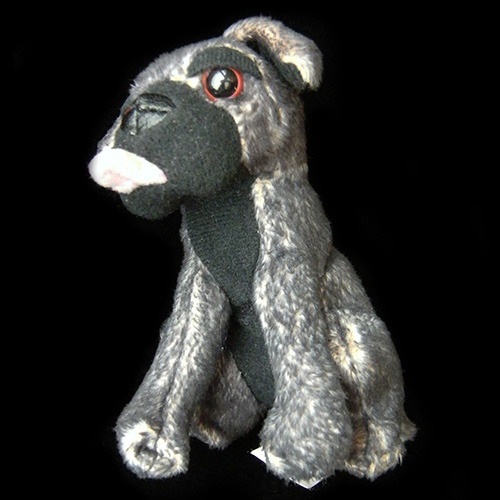2009 Hotel for Dogs