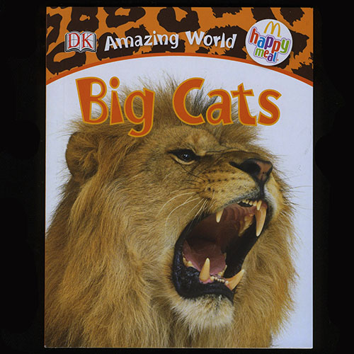 2013 Amazing World Books