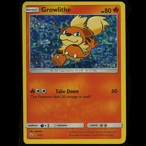 2019 Pokemon