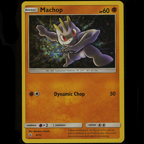 2019 Pokemon