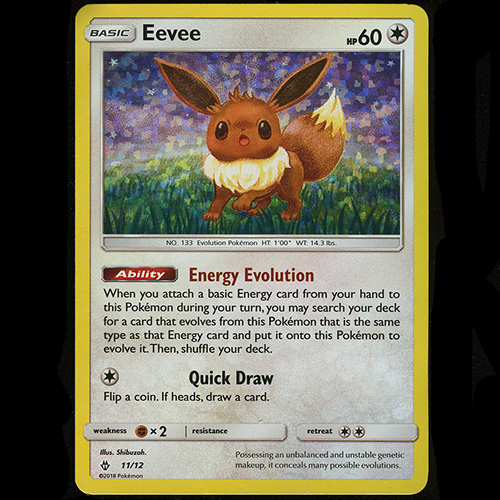 2019 Pokemon