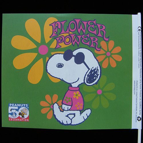 Promo Flag