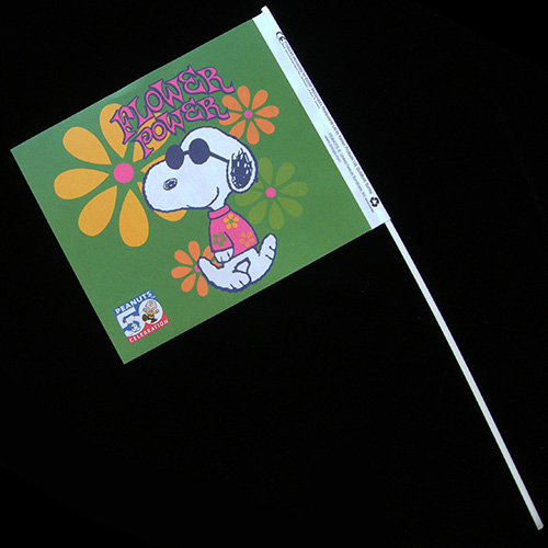 Promo Flag — Full image